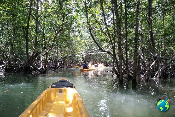 Kayaking - Koh Yao Yai