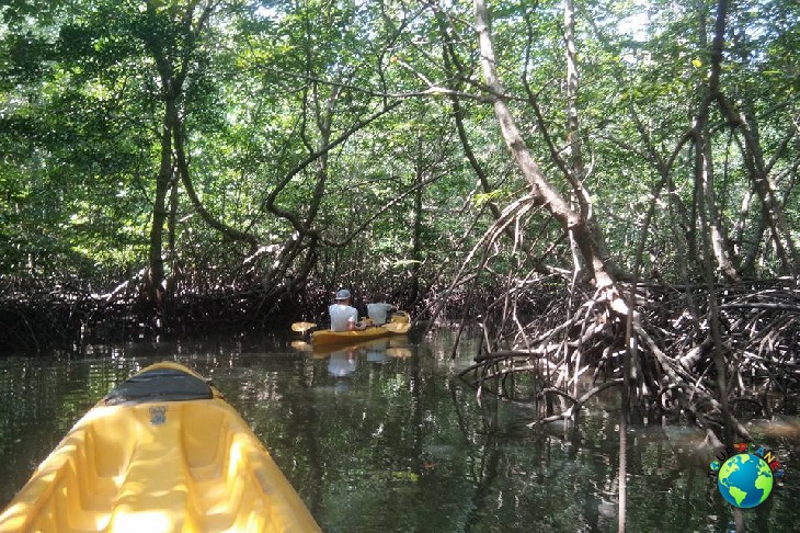 Kayaking - Koh Yao Yai