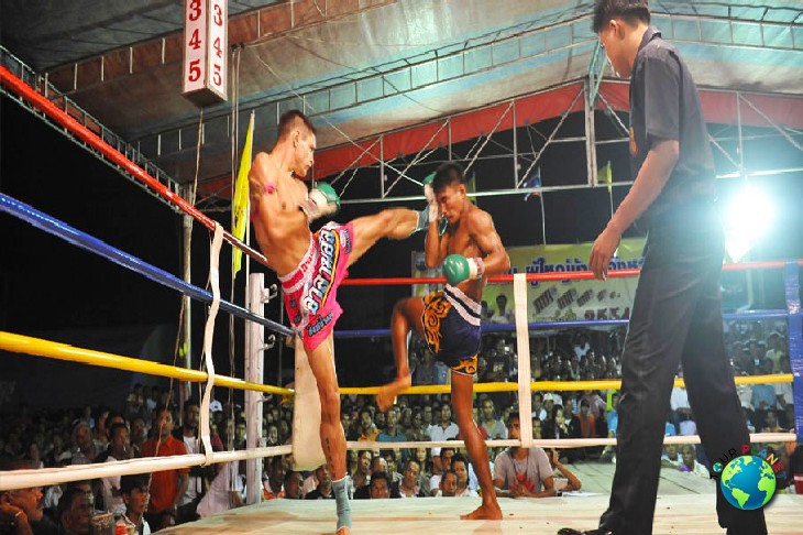 Patong Boxing Stadium : Stadium